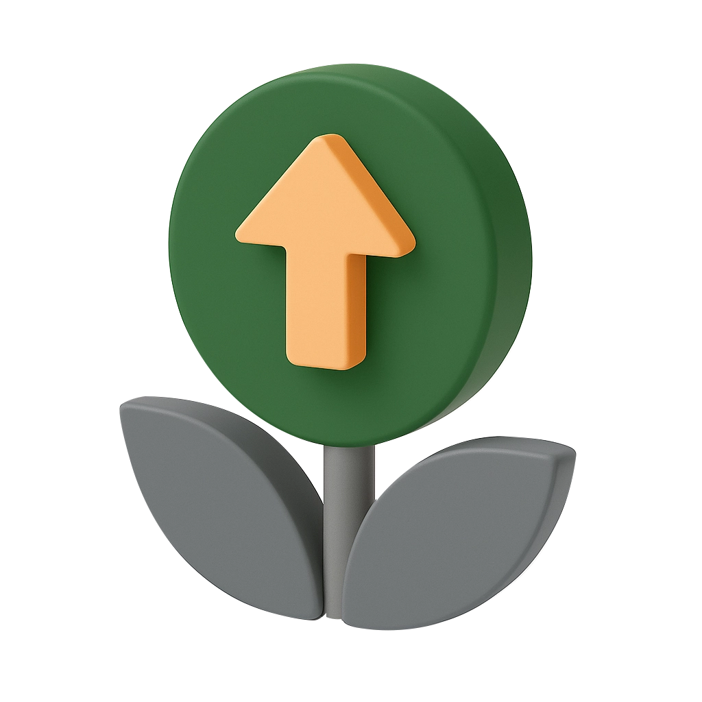 Финансирование